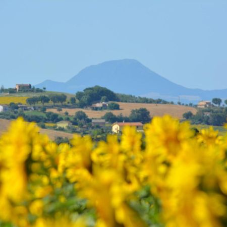 Casale Dei Cinque Colli Villa Ostra Dış mekan fotoğraf