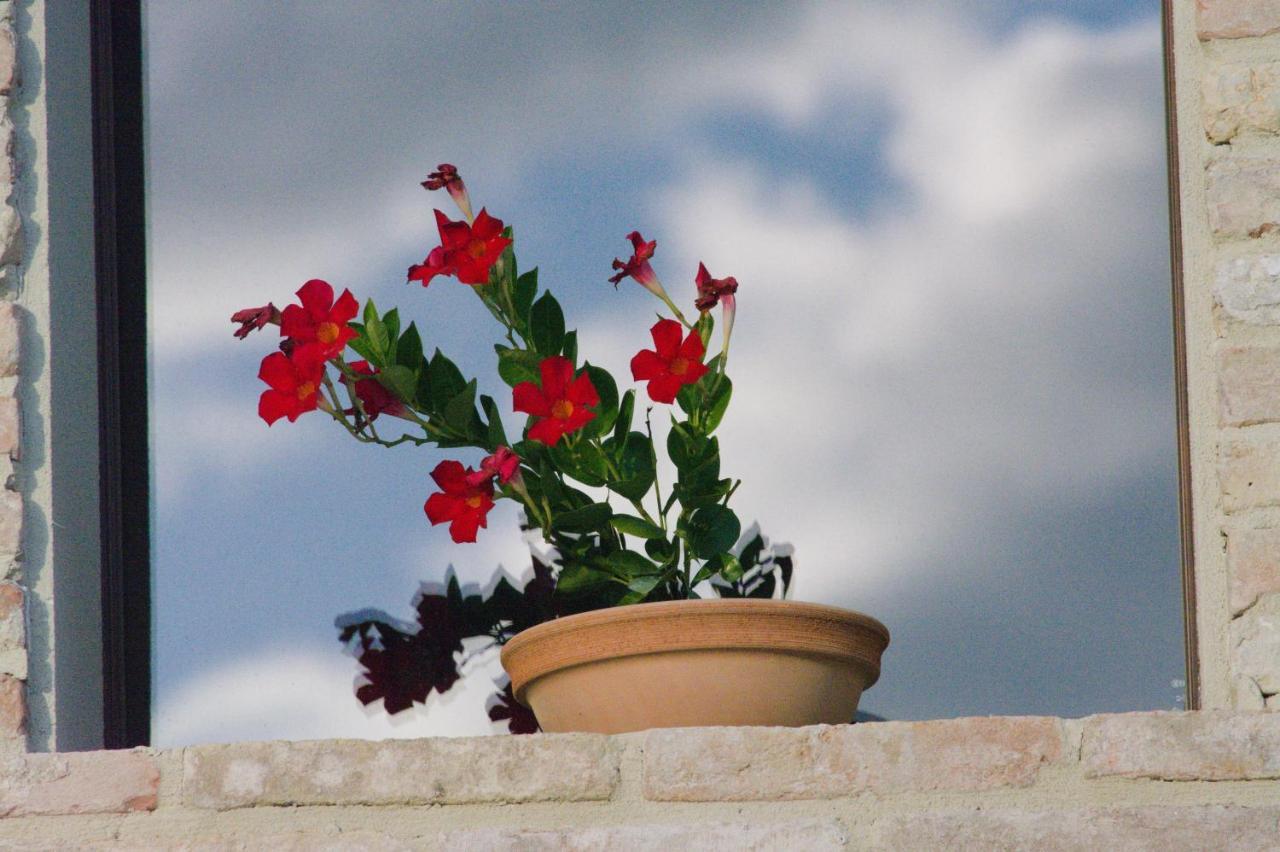Casale Dei Cinque Colli Villa Ostra Dış mekan fotoğraf