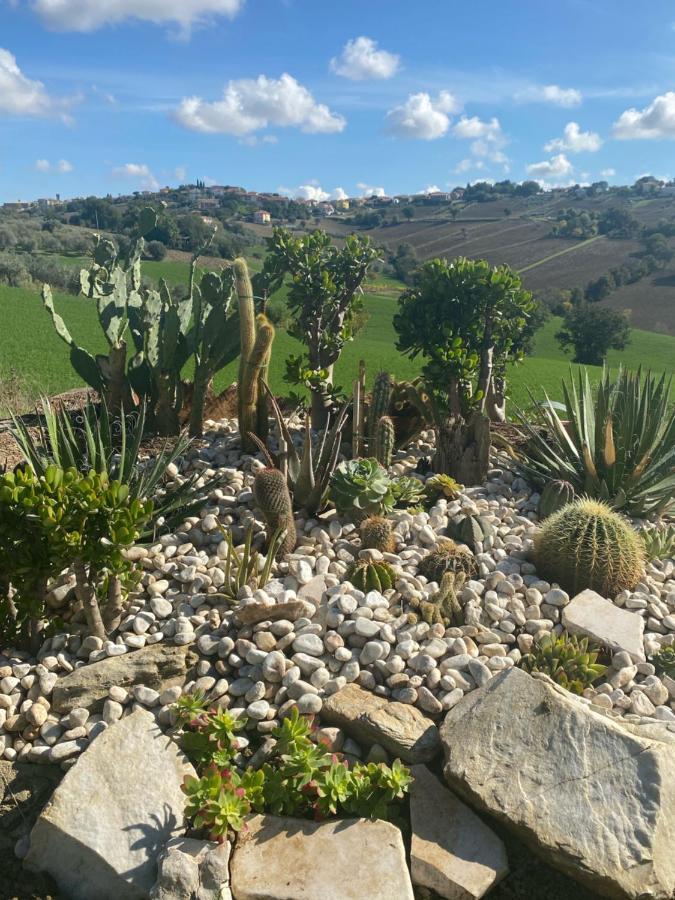 Casale Dei Cinque Colli Villa Ostra Dış mekan fotoğraf